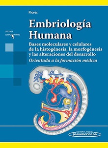 Embriología humana Bases moleculares y celulares de la histogénesis, morfogénesis
