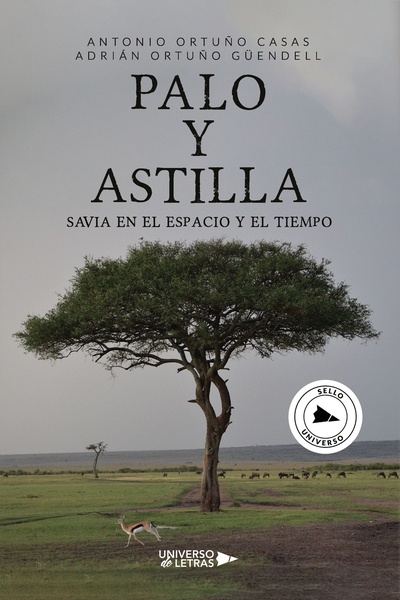PALO y ASTILLA