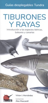Tiburones y rayas - guias desplegables tundra introduccion a las especies ibericas, baleares y canarias