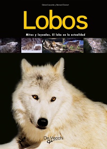 Lobos. Mitos y leyendas. El lobo en la actualidad