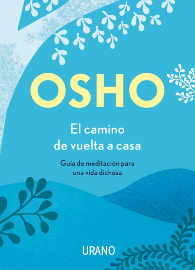 EL camino de vuelta a casa