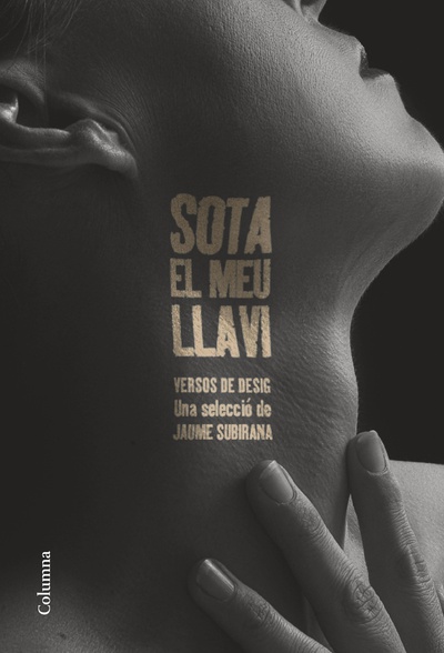 Sota el meu llavi