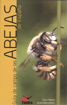 Guía de campo de las abejas de espaua