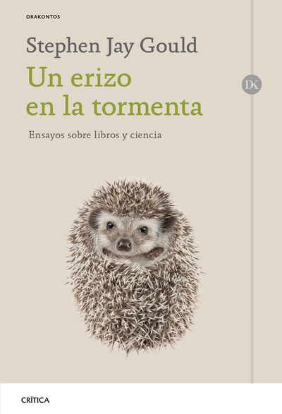 Un erizo en la tormenta
