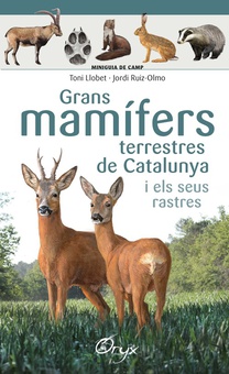 Grans mamifers terrestres de catalunya i els seus rastres