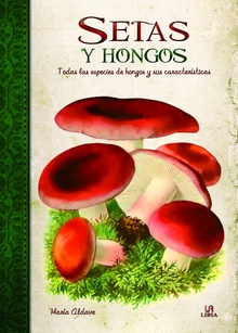 Setas y hongos