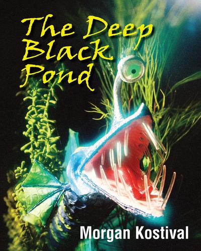 The Deep Black Pond