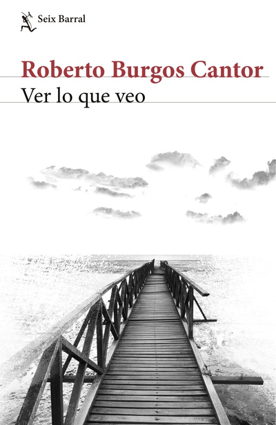 Ver lo que veo