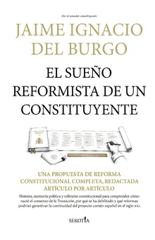 El sueño reformista de un constituyente