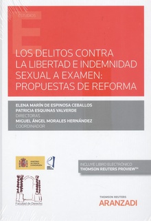 Los delitos contra la libertad e indemnidad sexual a examen