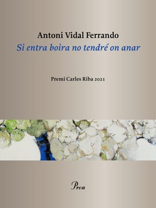 Si entra boira no tendré on anar