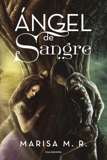 Ángel de sangre (Ángel de sangre 1)