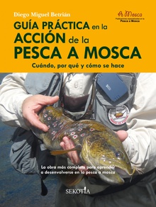 Guía práctica en la acción de la pesca a mosca Cuándo, por qué y cómo se hace