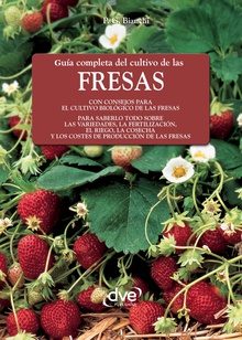 Guía completa del cultivo de las fresas