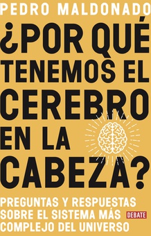 ¿Por qué tenemos el cerebro en la cabeza?