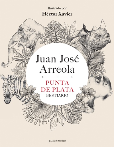 Punta de plata