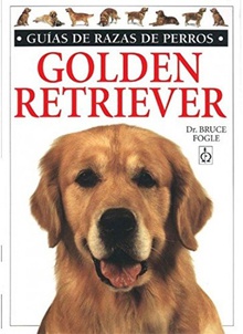 Golden retriever guia de razas de perros