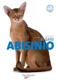 El gato Abisinio