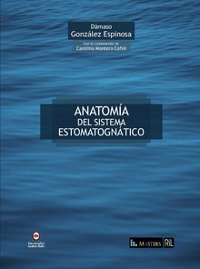 Anatomía del sistema estomatognático