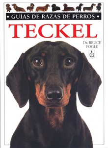 Teckel. guias razas de perros daschund