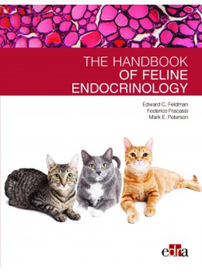 Feline endocrinology