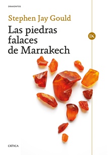 Las piedras falaces de Marrakech Penúltimas reflexiones sobre historia natural