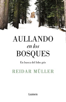 AULLANDO EN LOS BOSQUES En busca del lobo gris