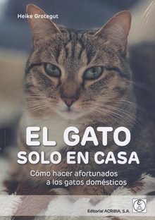 EL GATO SOLO EN CASA Cómo hacer afortunados a los gatos domésticos