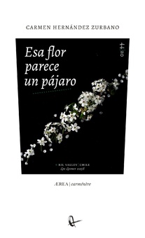 Esa flor parece un pájaro