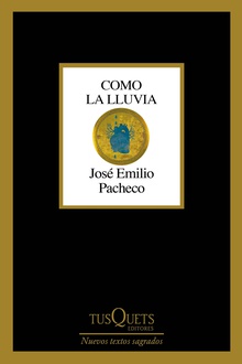 Como la lluvia