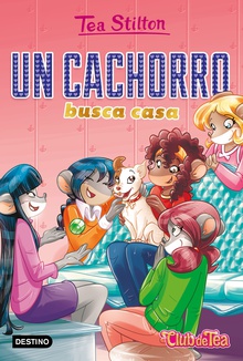 Un cachorro busca casa