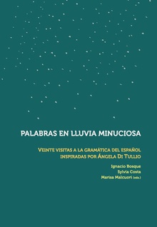 PALABRAS EN LLUVIA MINUCIOSA veinte visitas a la gramática del español inspiradas por Angela Di Tullio