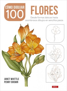Cómo dibujar 100 flores Desde formas básicas hasta asombrosos dibujos en sencillos pasos