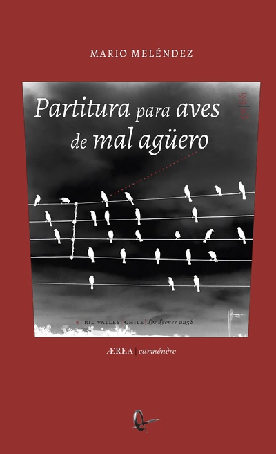 Partitura para aves de mal agüero