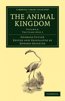 The Animal Kingdom - Volume 8