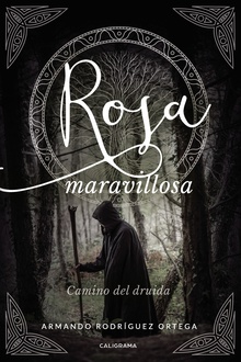 Rosa maravillosa