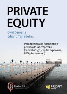 Private Equity. Ebook