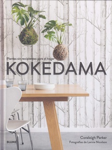 Kokedama Plantas sin recipientes para el hogar