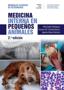 Medicina interna en pequeeos animales 2e ed