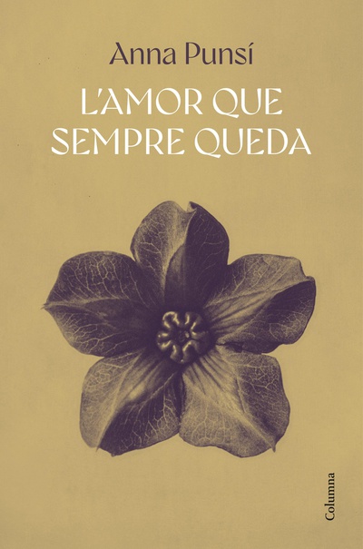 L'amor que sempre queda