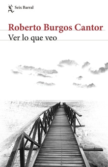 Ver lo que veo