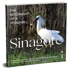 Sinagote - ingles the biography of a spoonbill