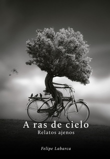A ras de cielo