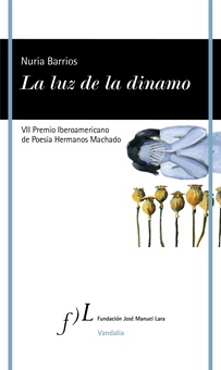 La luz de la dinamo