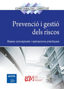 Prevenció i gestió dels riscos. Ebook.