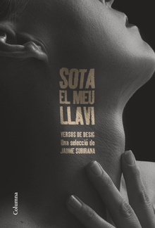 Sota el meu llavi