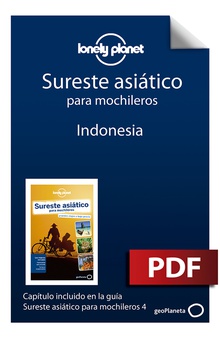 Sureste asiático para mochileros 4_4. Indonesia