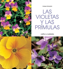 Las violetas y las prímulas - Cultivo y cuidados