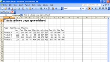 Excel 2010 de principio a fin (IV)