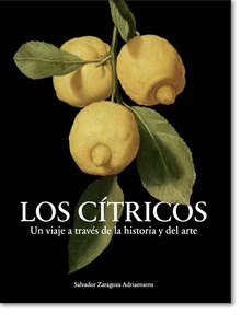 Los Cítricos Un viaje a través de la historia y del arte.